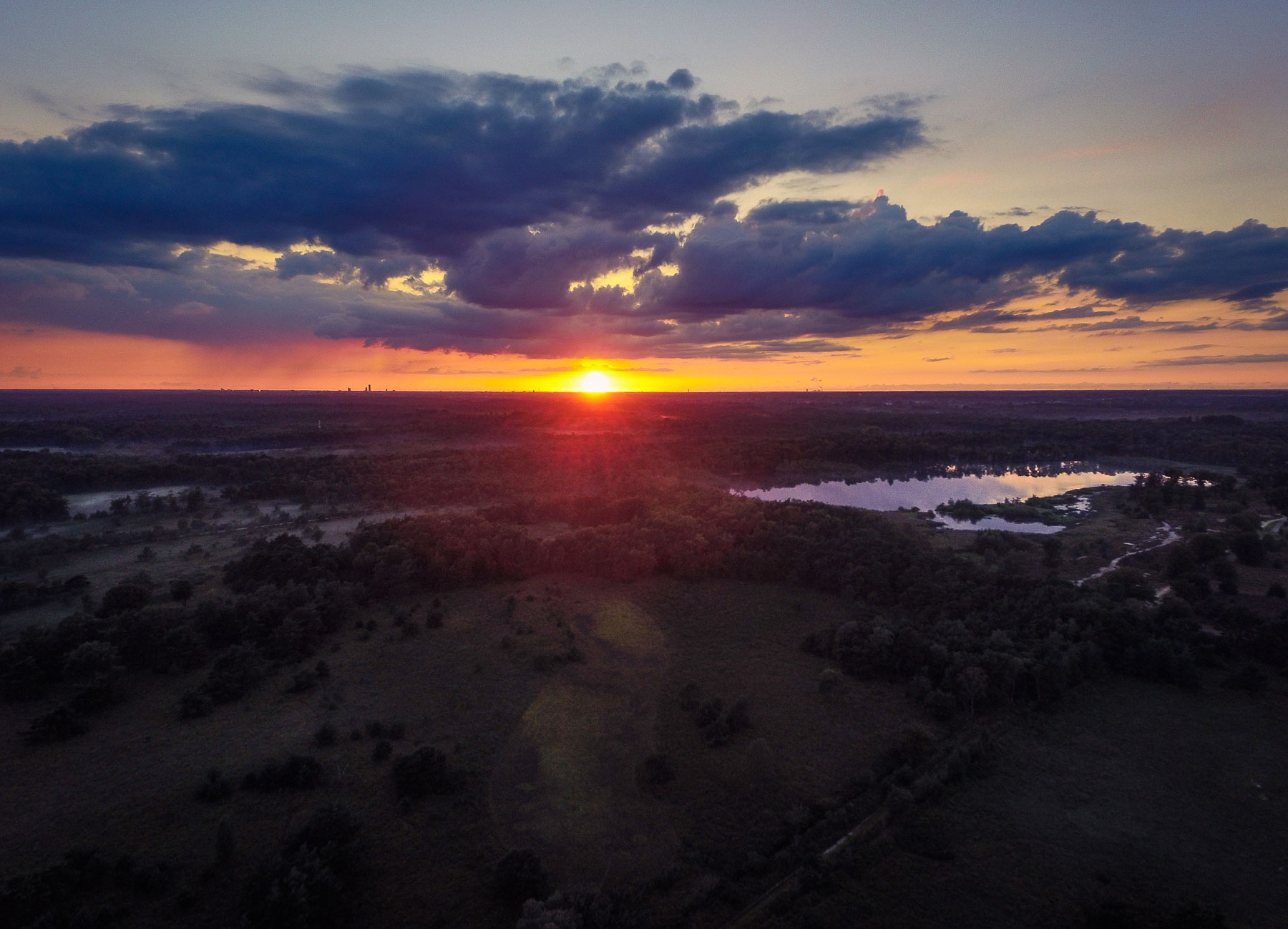 Kampina vanuit de lucht - Foto - Ronne Vinkx